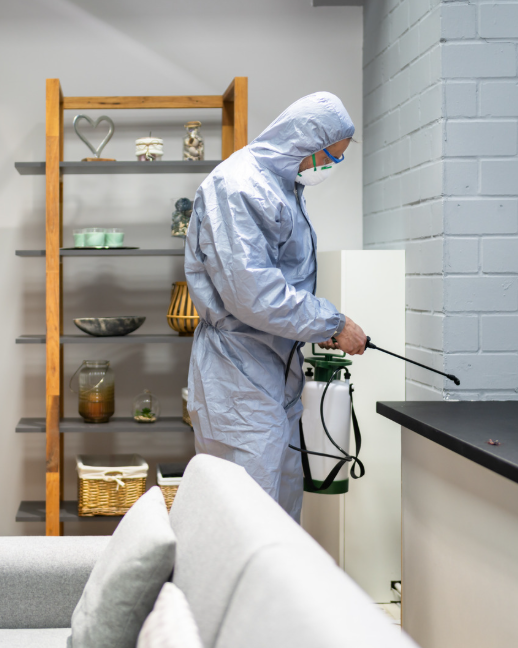 Pest Works treatment service